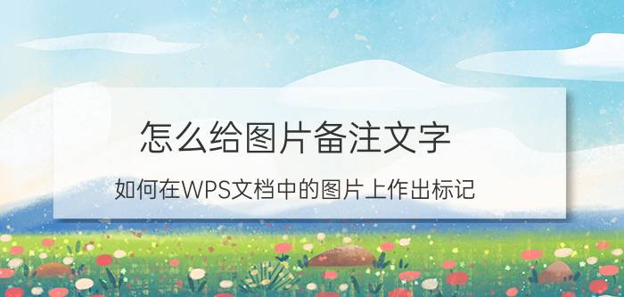 怎么给图片备注文字 如何在WPS文档中的图片上作出标记？